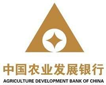 中国农业开展银行：综合报表平台